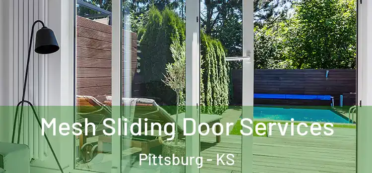  Mesh Sliding Door Services Pittsburg - KS